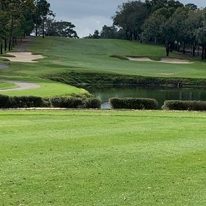 Meet your Posher, Ralph